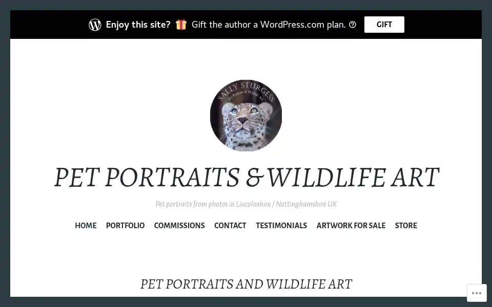 Screenshot of sallysturgessart.com