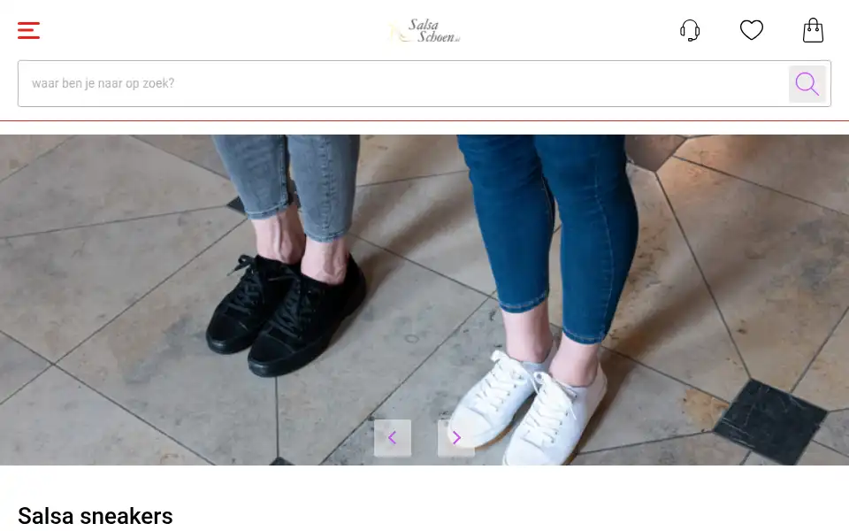 Screenshot of salsaschoen.nl