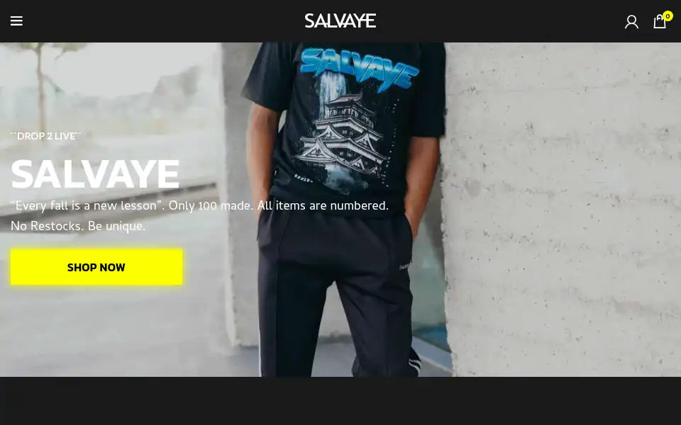 Screenshot of salvaye.com