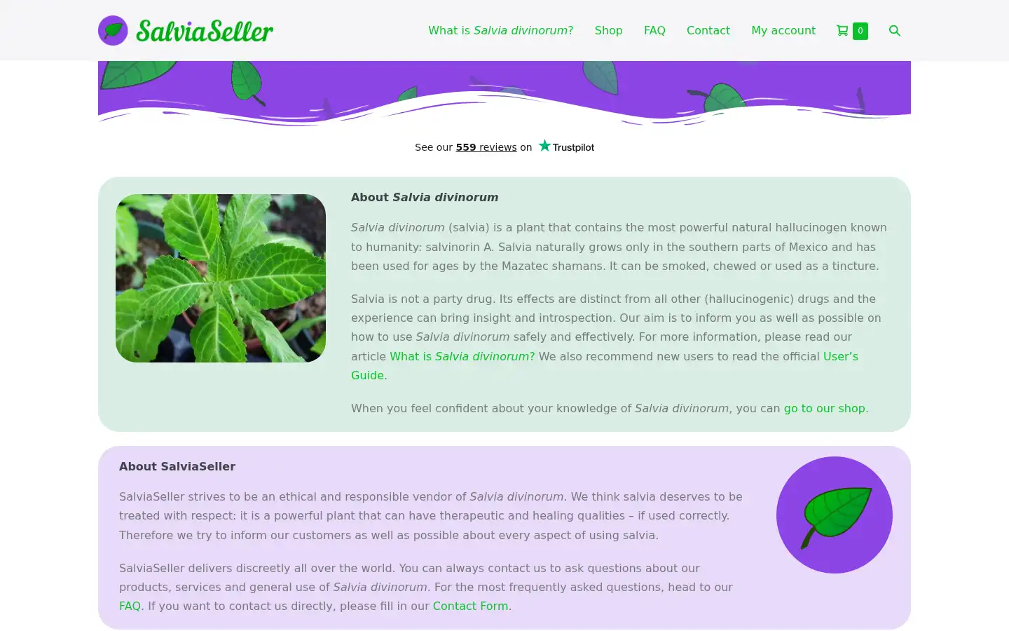 Screenshot of salviaseller.com