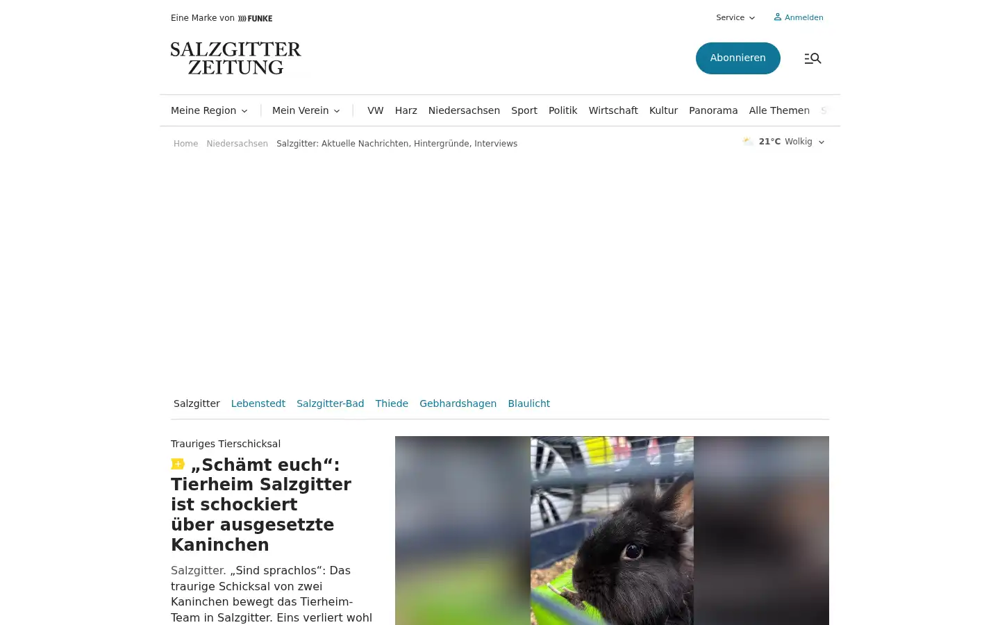 Screenshot of salzgitter-zeitung.de
