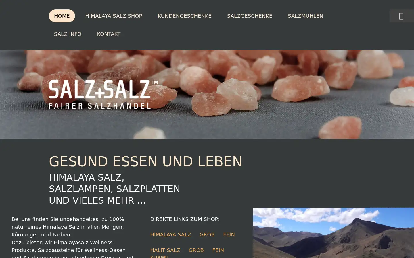 Screenshot of salzsalz.ch