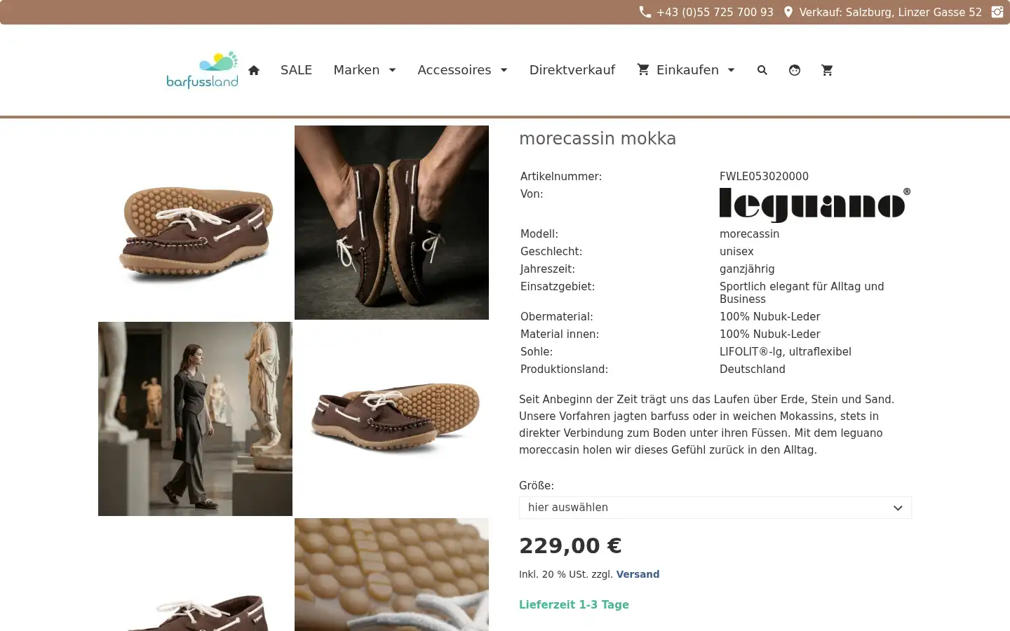 Screenshot of sana-shop.at