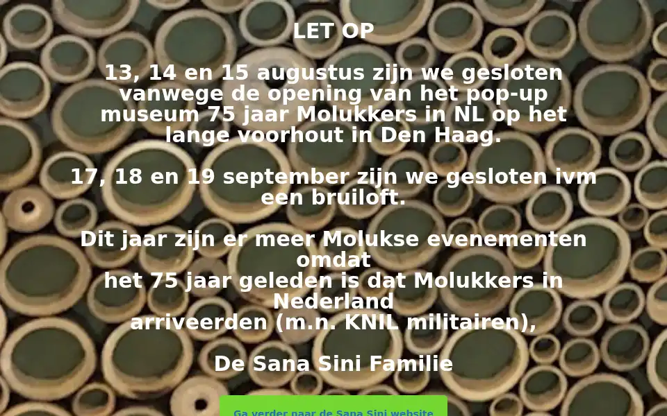 Screenshot of sanasini.nl