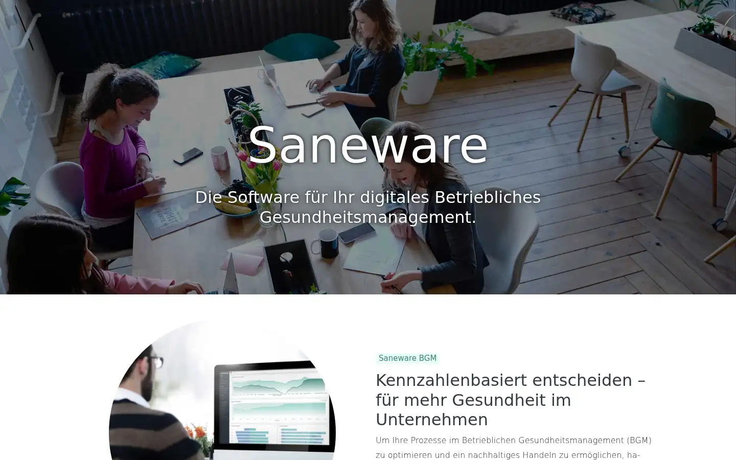 Screenshot of saneware.de