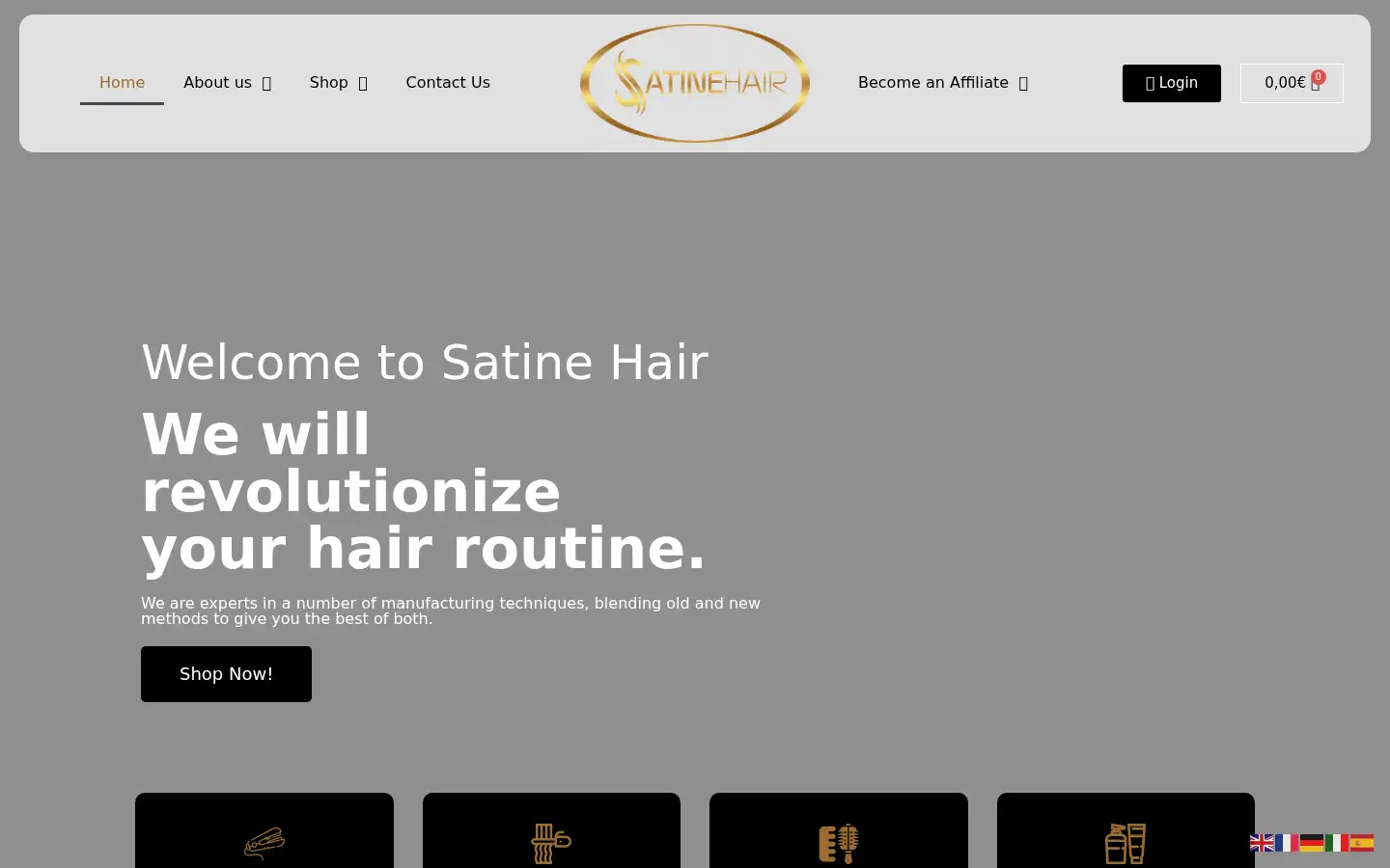 Screenshot of satine-hair.com
