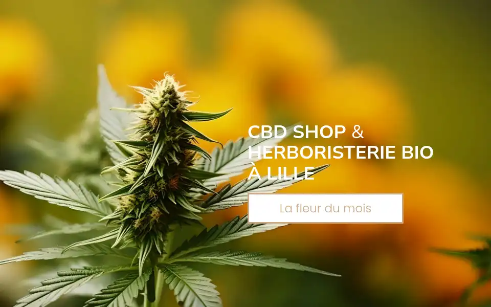 Screenshot of sativum-cbdshop.com