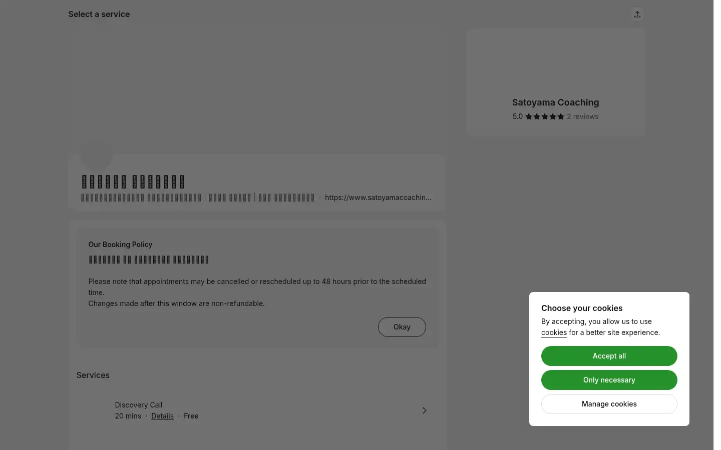 Screenshot of satoyamacoaching.com