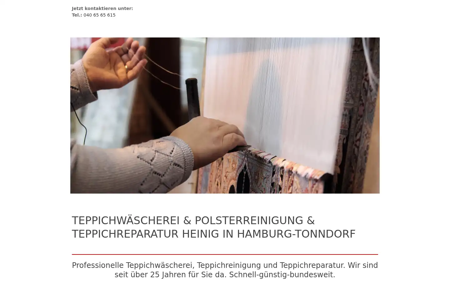 Screenshot of saubere-teppiche.de
