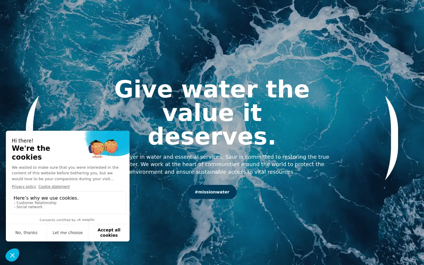 Screenshot of saur.com