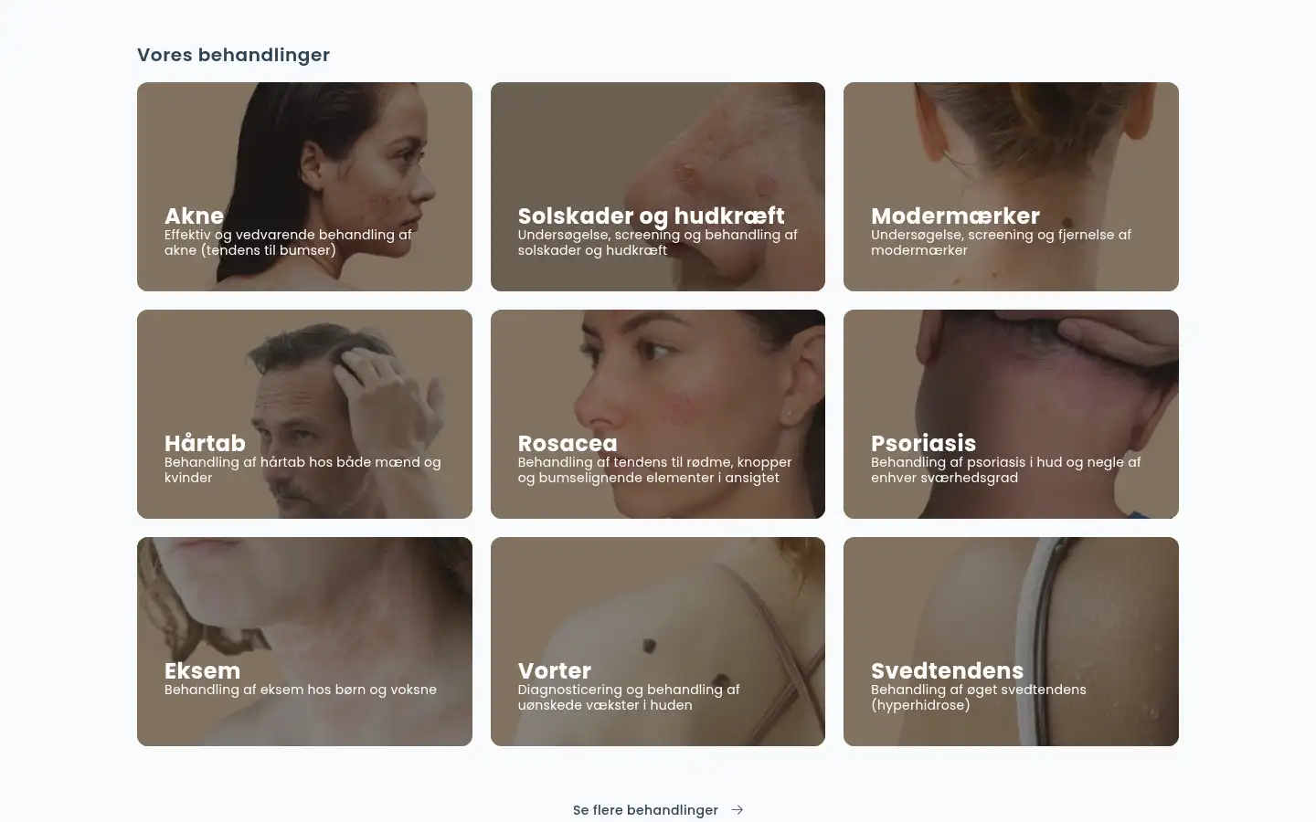Screenshot of scanderma.dk