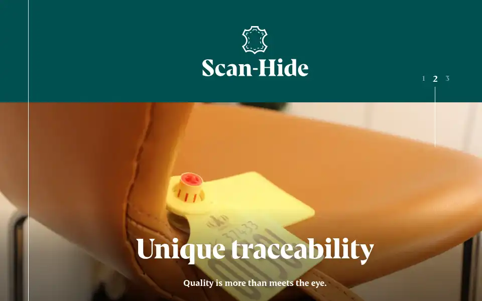 Screenshot of scanhide.dk