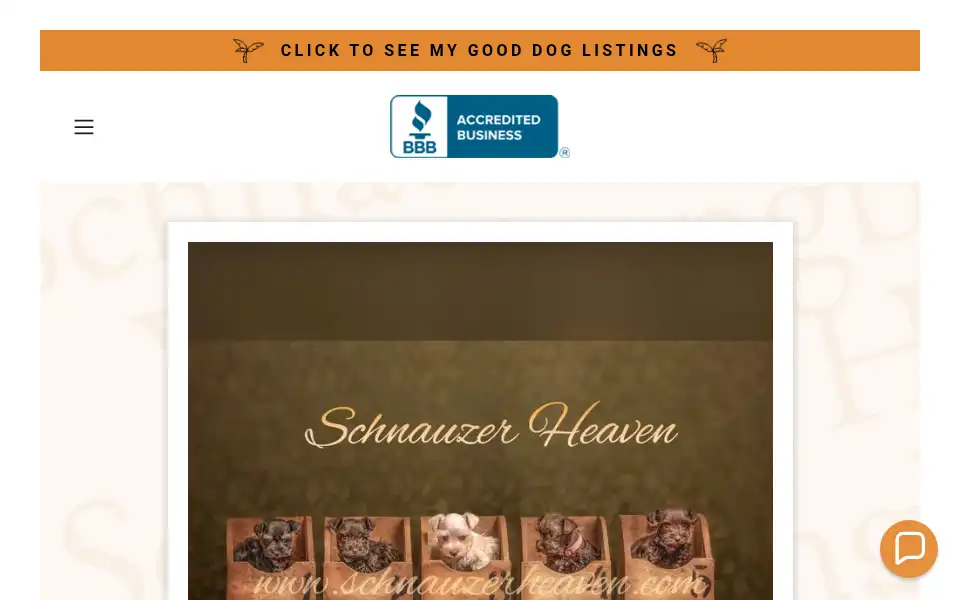 Screenshot of schnauzerheaven.com