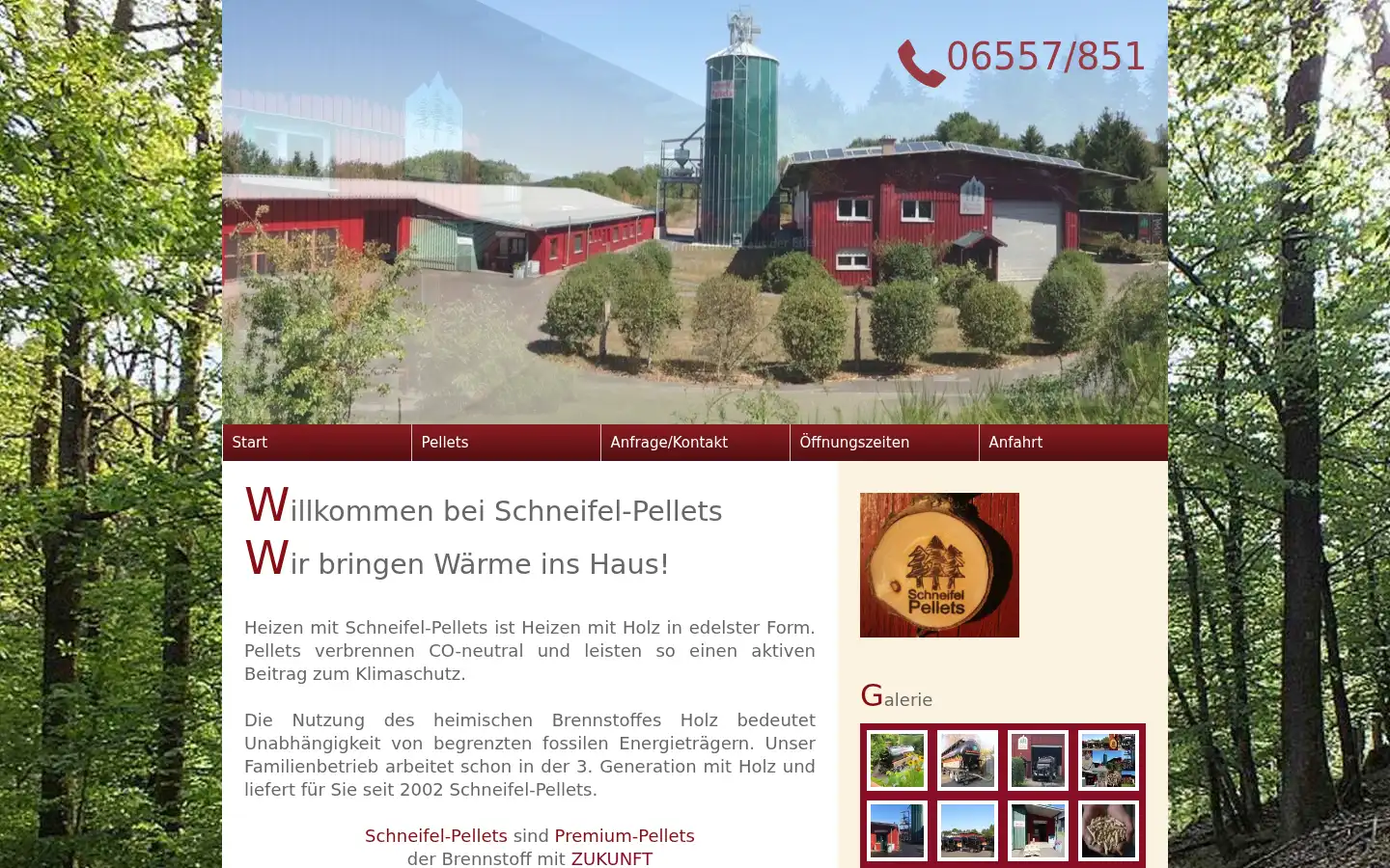 Screenshot of schneifel-pellets.de