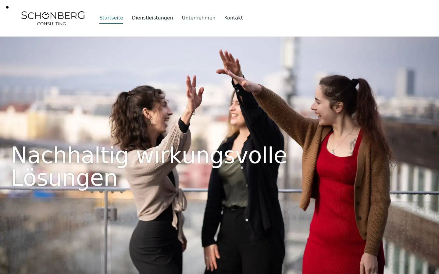 Screenshot of schoenberg.consulting