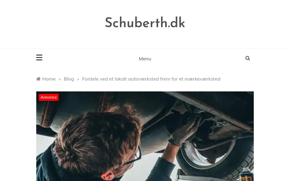 Screenshot of schuberth.dk
