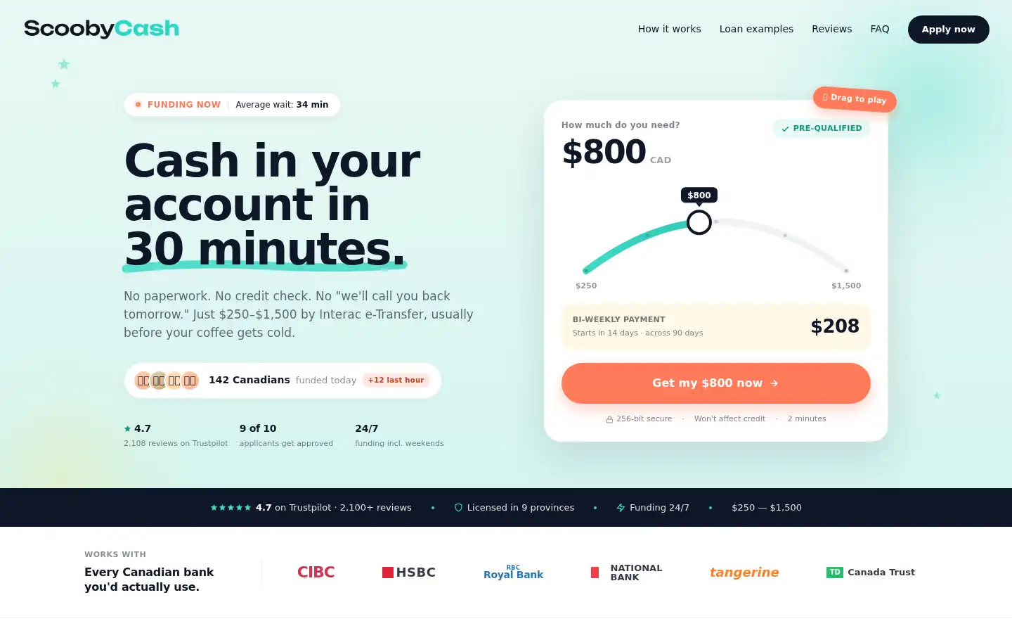 Screenshot of scoobycash.com