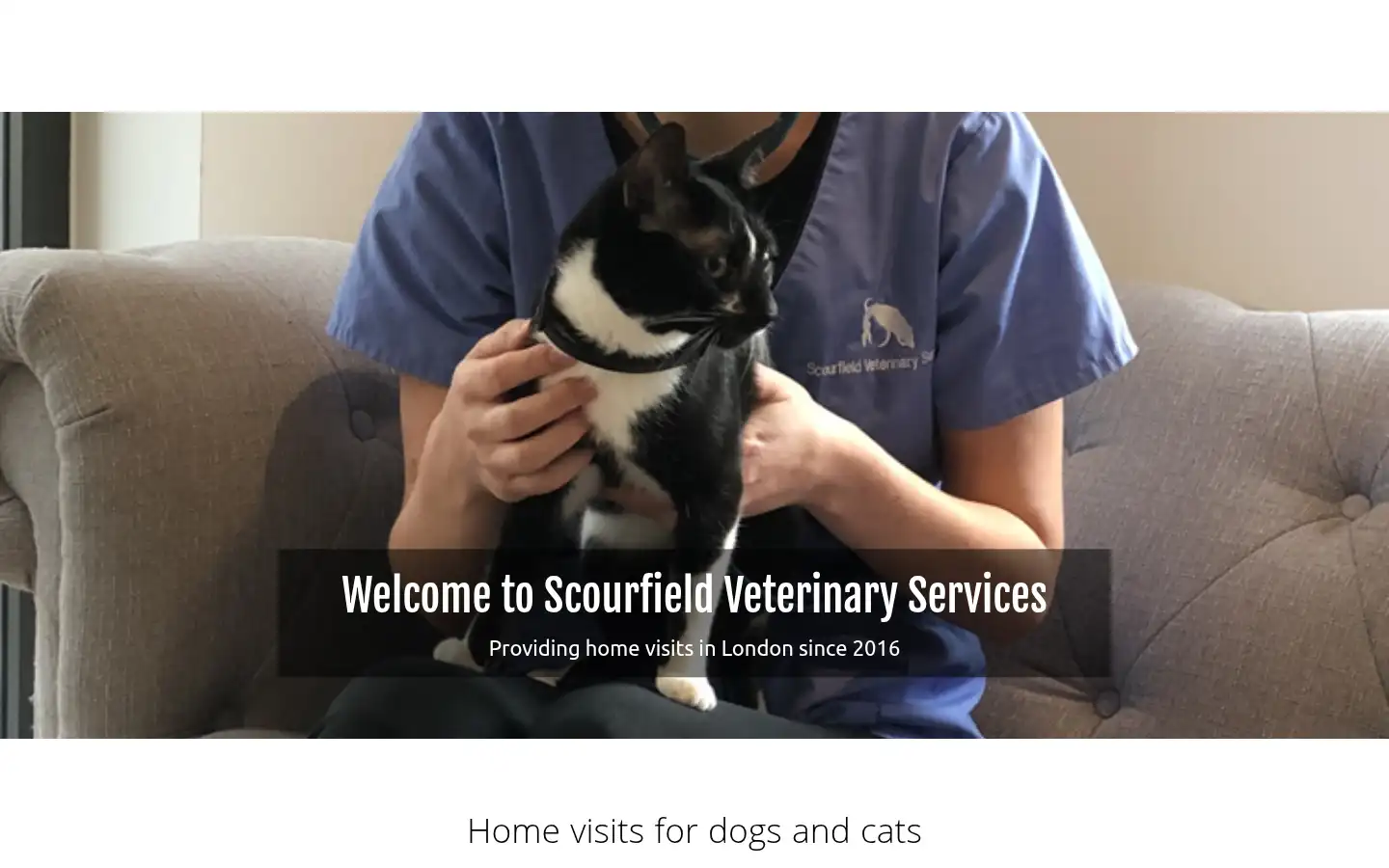 Screenshot of scourfieldvetservices.co.uk