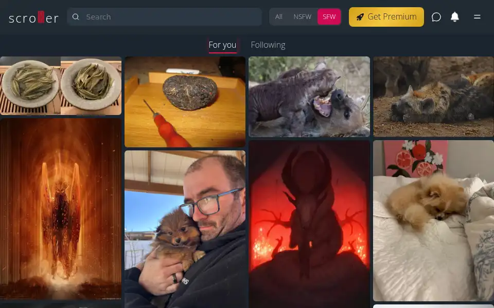 Screenshot of scrolller.com