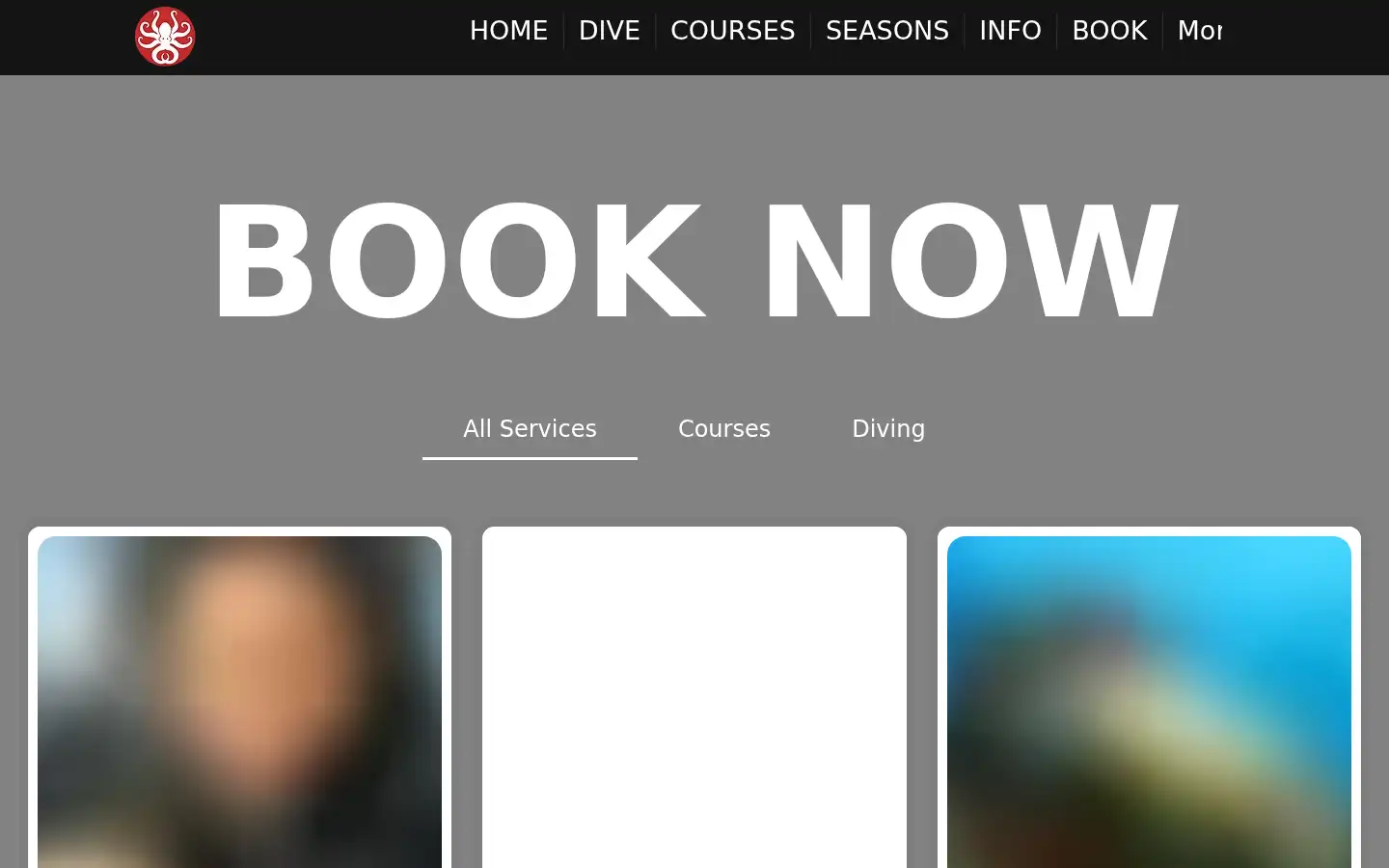 Screenshot of scubatotal.com