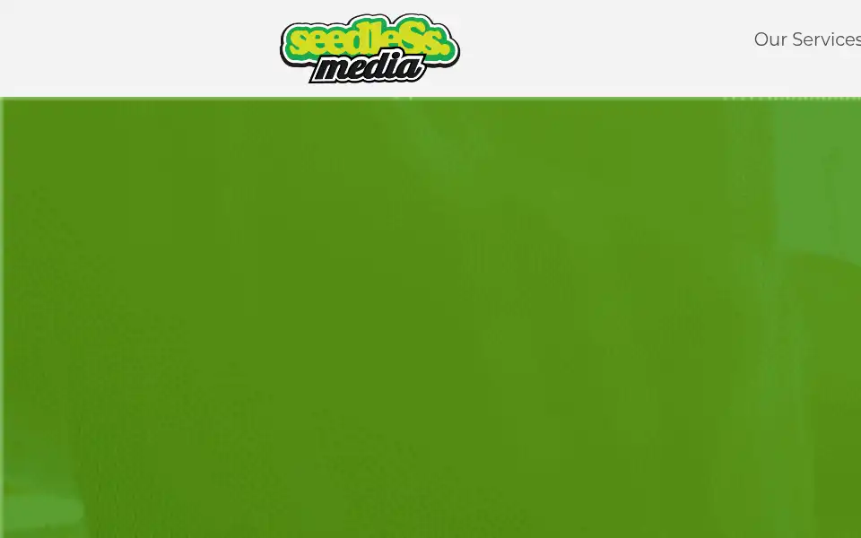 Screenshot of seedless.media