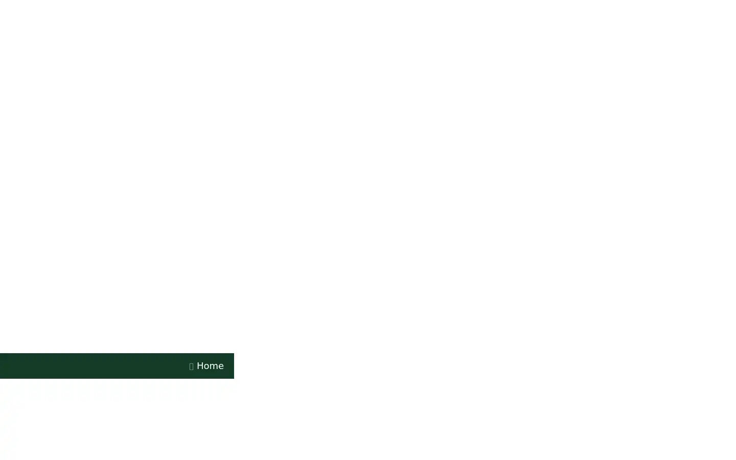Screenshot of seelengespraech-janka.com