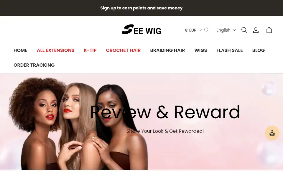 Screenshot of seewig.com