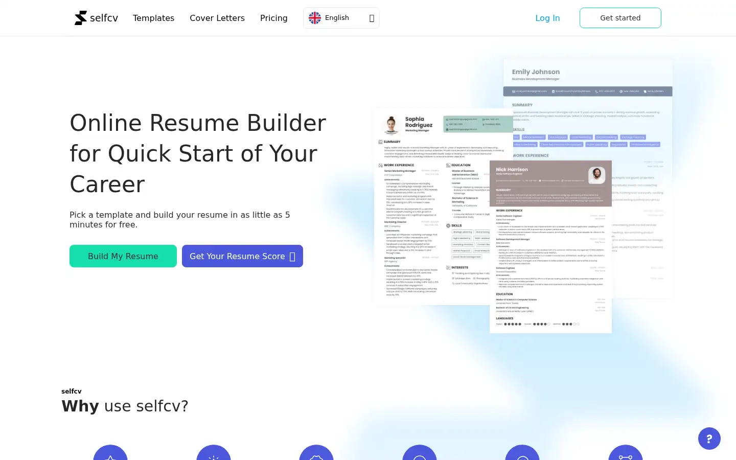 Screenshot of selfcv.com