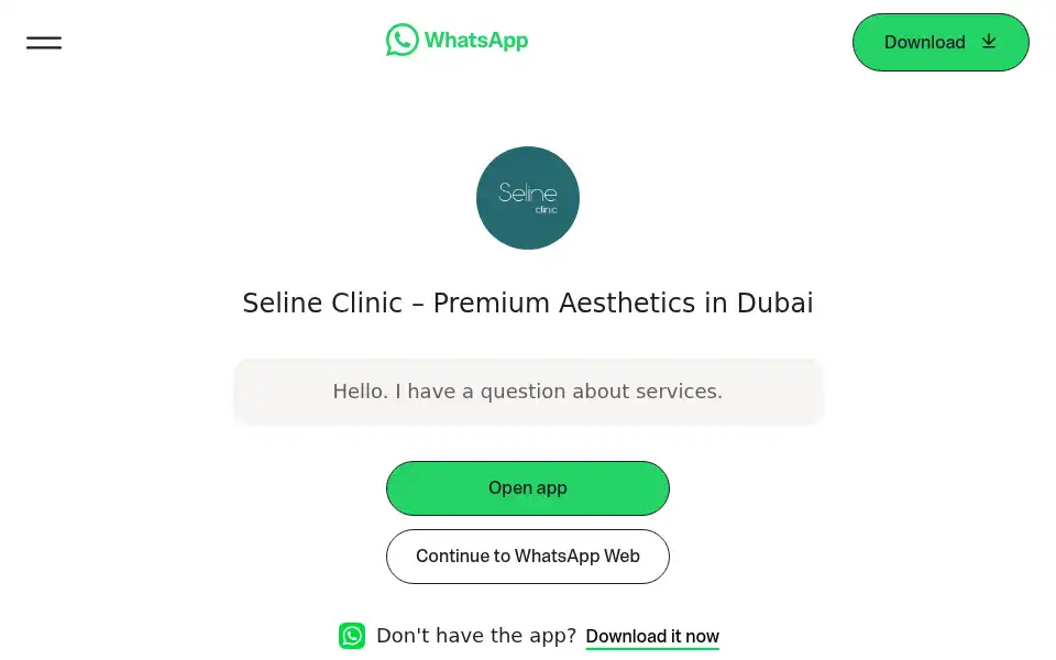 Screenshot of seline.ae