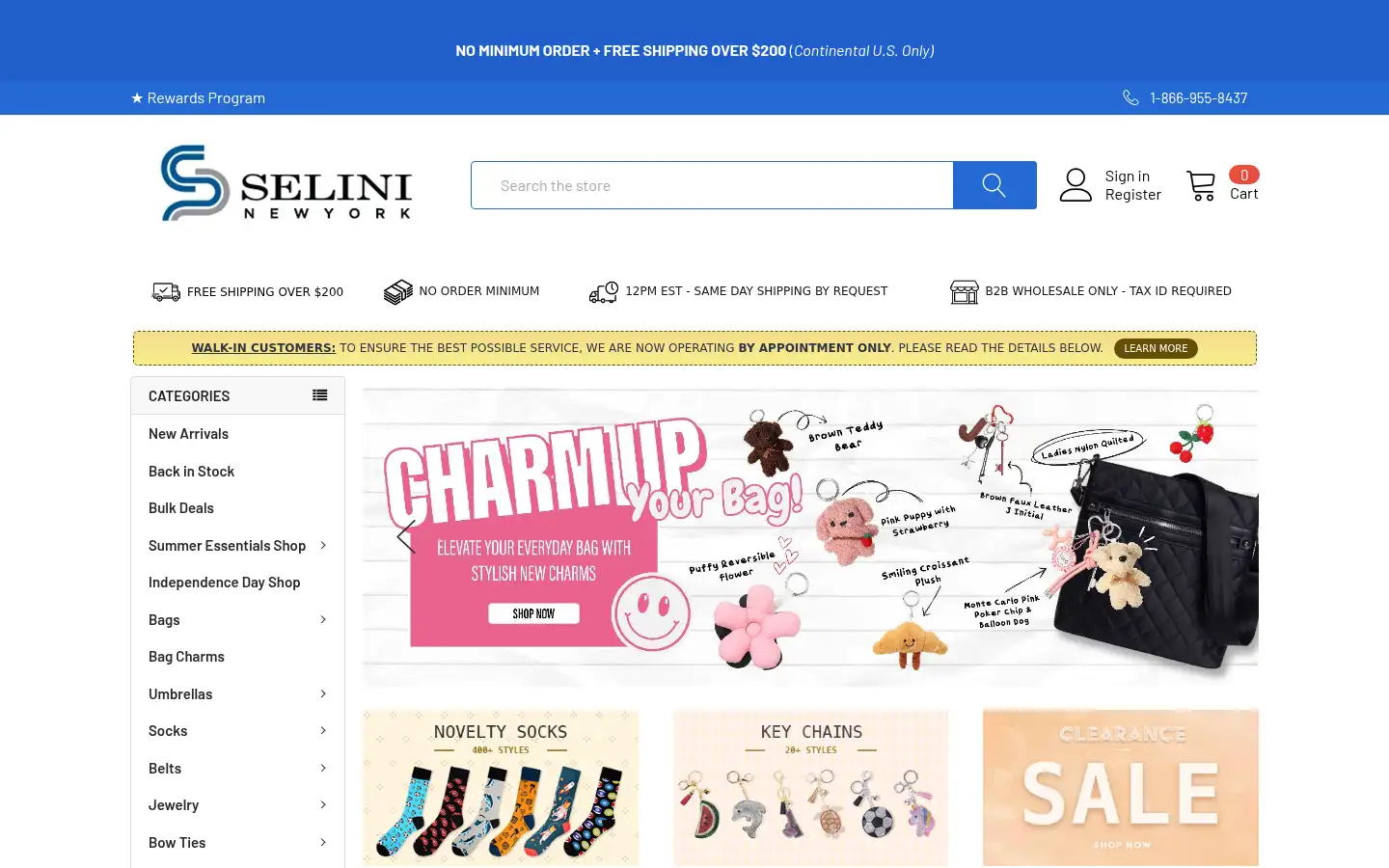 Screenshot of selininy.com