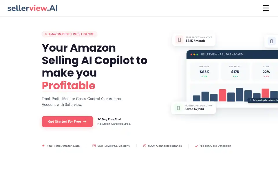 Screenshot of sellerview.ai