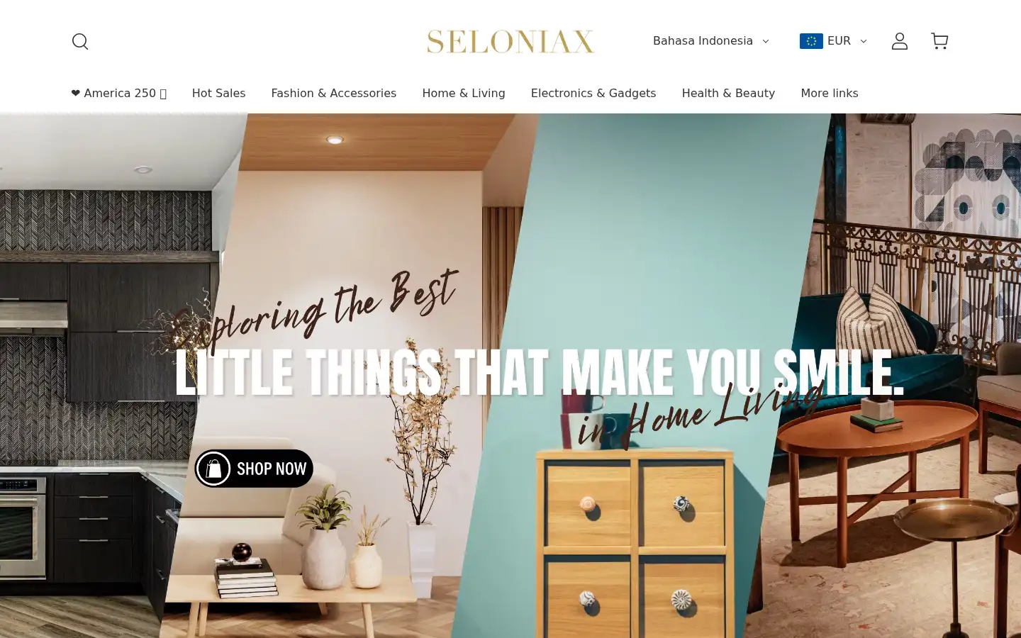 Screenshot of seloniax.com