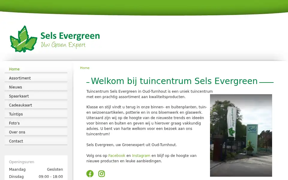 Screenshot of selsevergreen.be