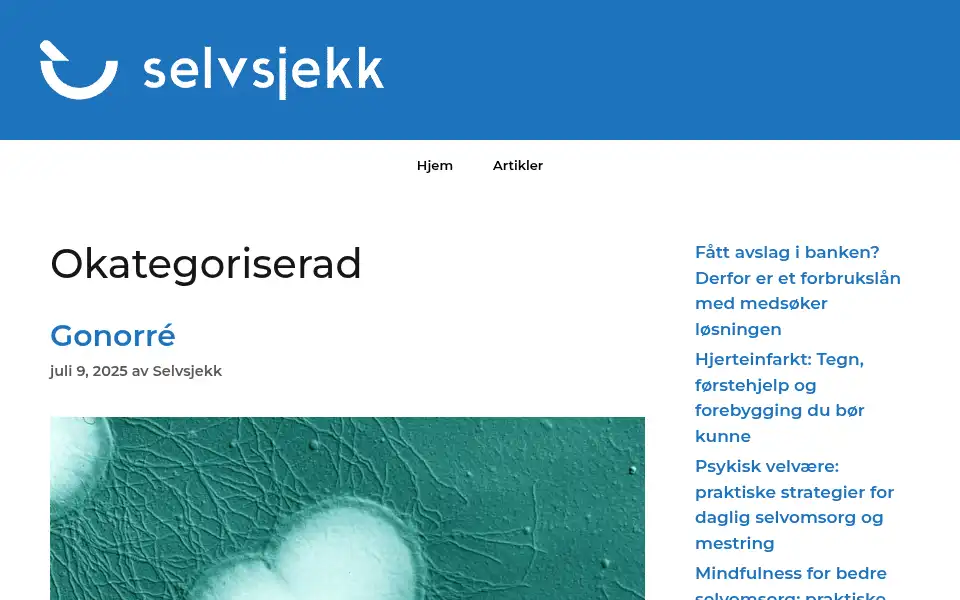 Screenshot of selvsjekk.com