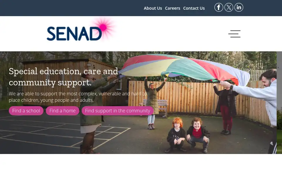 Screenshot of senadgroup.com