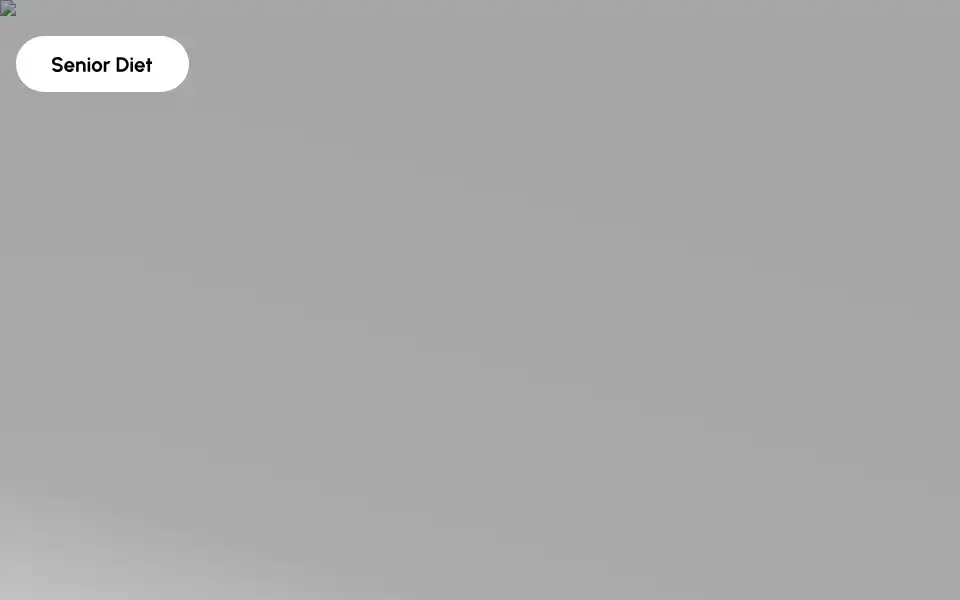 Screenshot of senior.diet