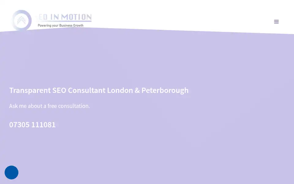 Screenshot of seoinmotion.com