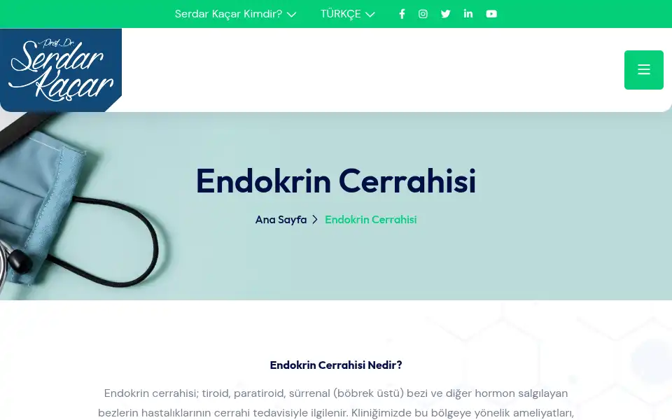 Screenshot of serdarkacar.com