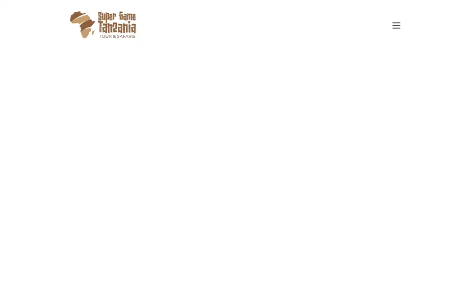Screenshot of sgtanzaniatoursandsafaris.com