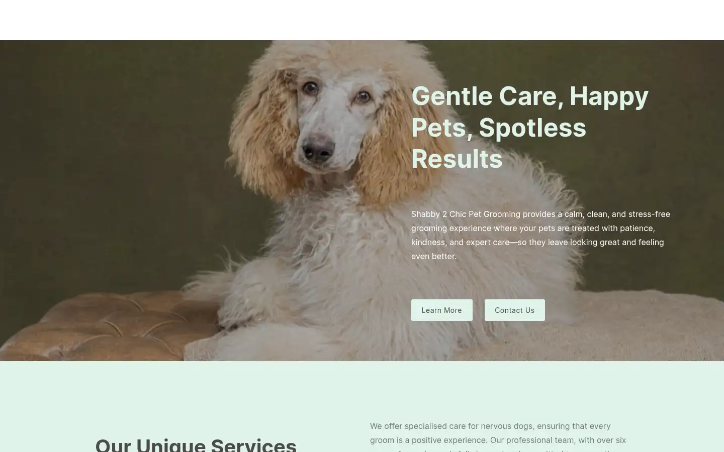 Screenshot of shabby-2chicpet-grooming.com