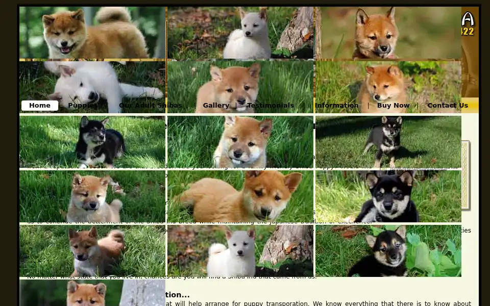 Screenshot of shibapup.com