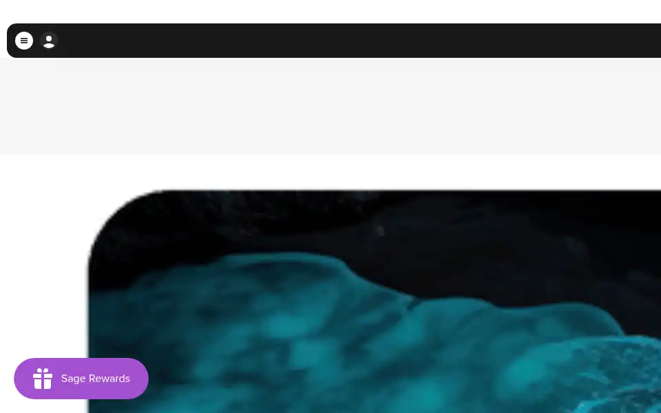 Screenshot of shop.sagese.com