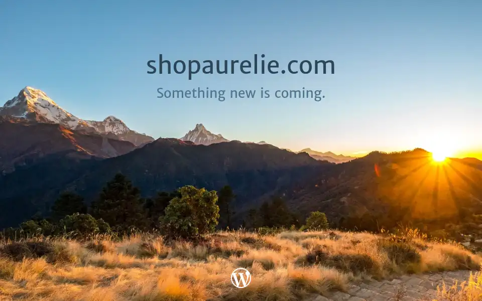 Screenshot of shopaurelie.com