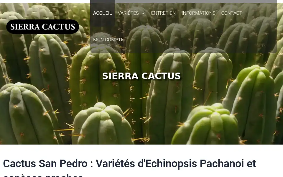 Screenshot of sierra-cactus.com
