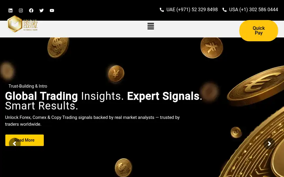 Screenshot of signalexpertglobal.ae