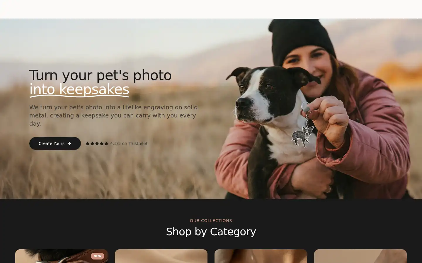 Screenshot of silvercut.com