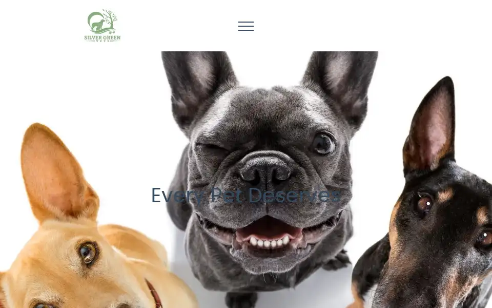 Screenshot of silvergreenvets.co.uk