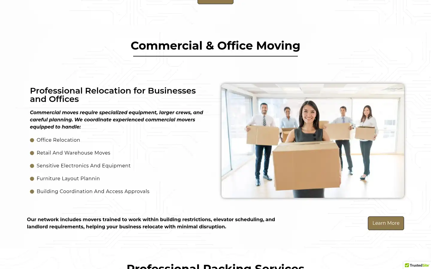 Screenshot of sinatramovinggroup.com