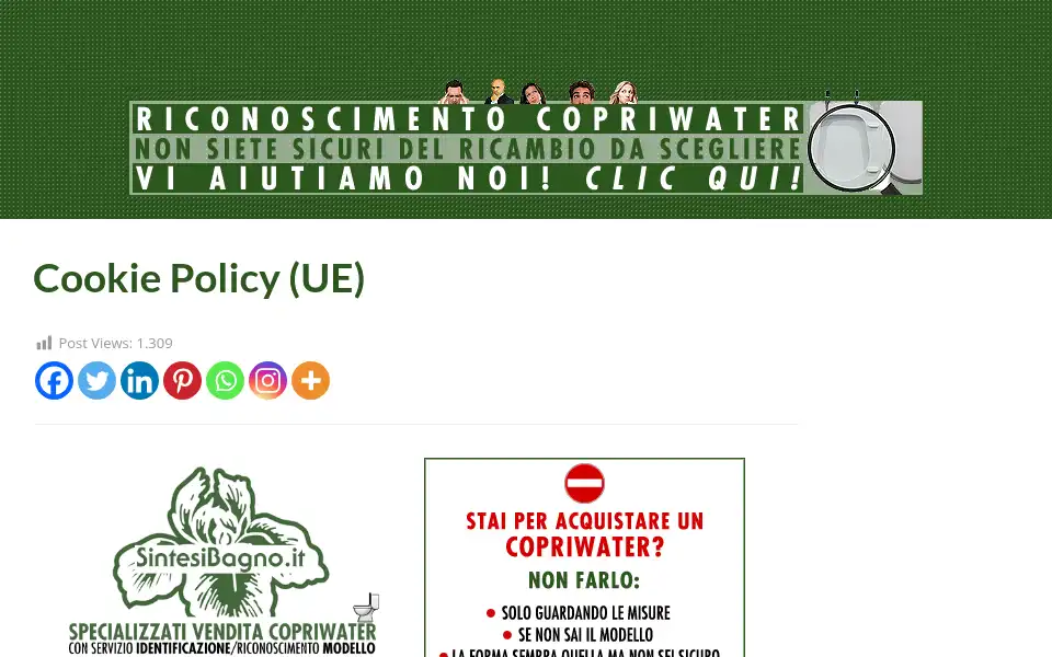 Screenshot of sintesibagno.it