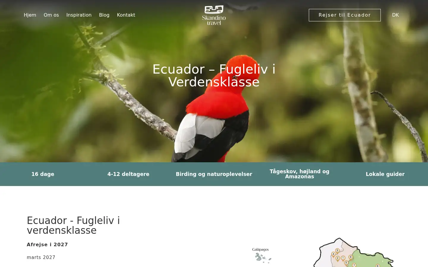 Screenshot of skandinotravel.com